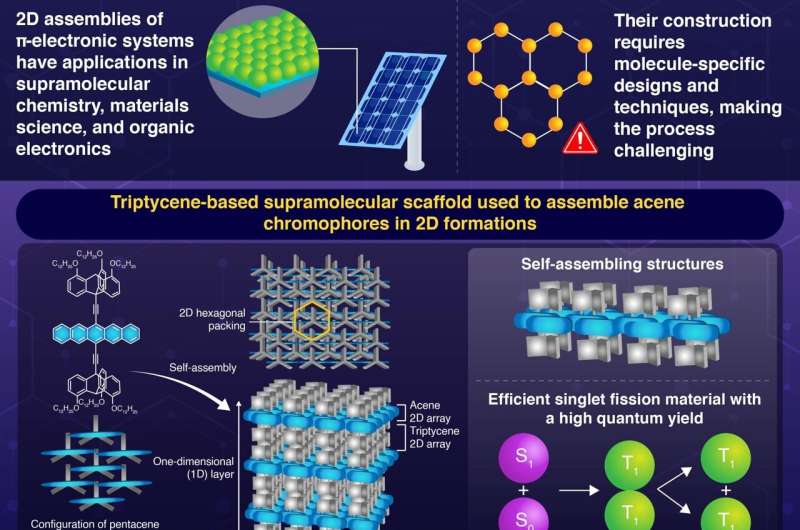 Building better solar cells: assembly of 2D molecular structures with triptycene scaffold