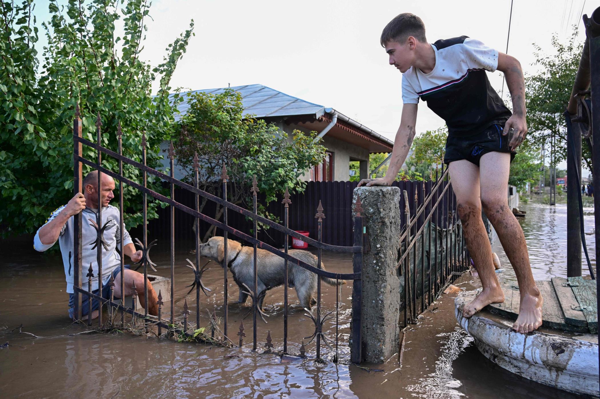 Local residents rescue a dog from the rising flood waters in the village of Slobozia Conachi, Romania, Sept. 14 2024. (AFP Photo)